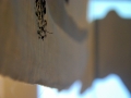 [ MAGALI RIZZO SOUS LA TENTE ] 28 octobre 2011 (5)