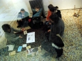 [ Régis Perray UN TAPIS SOUS LA TENTE ] 26 novembre 2011 (21)