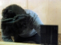 [ Régis Perray UN TAPIS SOUS LA TENTE ] 26 novembre 2011 (5)