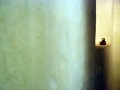 [ Régis Perray UN TAPIS SOUS LA TENTE ] 26 novembre 2011 (7)