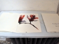 [“Avant le vide” FRANCK GARCIA Sous La Tente] 31 octobre 2012 (10)