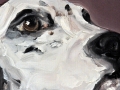 [“Avant le vide” FRANCK GARCIA Sous La Tente] 31 octobre 2012 (2)