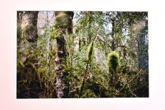 denisthomas©_Boustrophedon#29_LöetitiaLéo_23-mai_2018 (4)