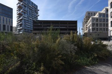 rue-darmagnac-bordeaux-19-octobre-2021