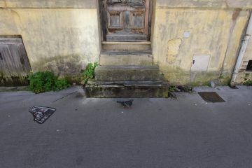 impasse de la prairie, bordeaux, 08 janvier 2018 impasse de la prairie, bordeaux, 08 janvier 2018