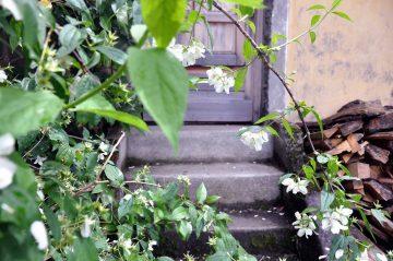 rue banlin, cenon, 22 mai 2016