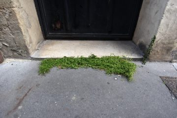 rue-bergeon-bordeaux-12-juin-2019 rue-bergeon-bordeaux-12-juin-2019