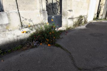 rue-bonnefin-bordeaux-bastide-25-mai-2021c rue-bonnefin-bordeaux-bastide-25-mai-2021c