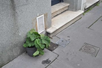 rue brizard, bordeaux, 27 janvier 2015