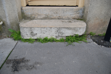 rue brizard, bordeaux, 30 mars 2011