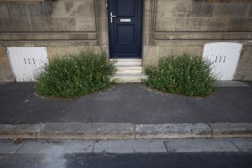 rue-de-blaye-bordeaux-bastide-14-juillet-2020 rue-de-blaye-bordeaux-bastide-14-juillet-2020