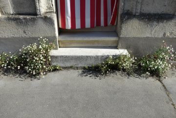 rue de ladous, bordeaux, 17 avril 2017