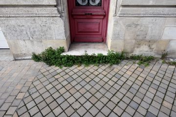 rue-du-jardin-public-bordeaux-12-novembre-2020 rue-du-jardin-public-bordeaux-12-novembre-2020