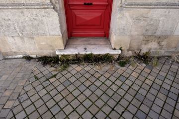 rue-du-jardin-public-bordeaux-23-mai-2021c rue-du-jardin-public-bordeaux-23-mai-2021c