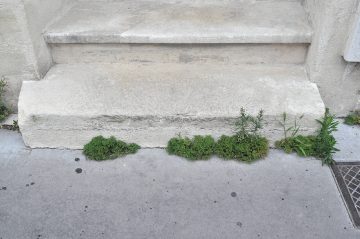 rue emile fourcand, bordeaux, 11 juin 2014 (1)