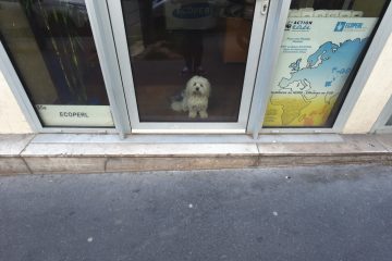 rue-ernest-lefevre-paris-19-avril-2019 rue-ernest-lefevre-paris-19-avril-2019