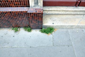 rue judaique, bordeaux, 09 juillet 2013 (1)