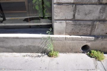 rue lafaurie de monbadon, bordeaux, 04 septembre 2013