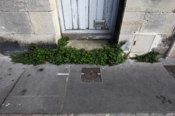 rue-paul-camelle-bordeaux-bastide-01-aout-2019 rue-paul-camelle-bordeaux-bastide-01-aout-2019