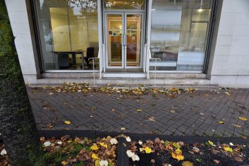 sud-boulevard-marechal-leclerc-bordeaux-08-novembre-2019c sud-boulevard-marechal-leclerc-bordeaux-08-novembre-2019c
